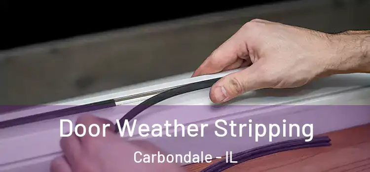 Door Weather Stripping Carbondale - IL