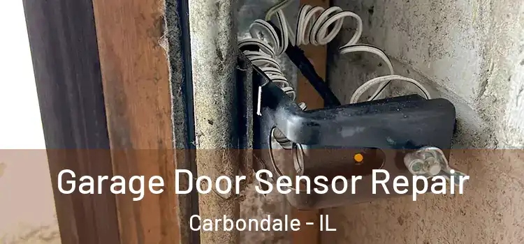 Garage Door Sensor Repair Carbondale - IL