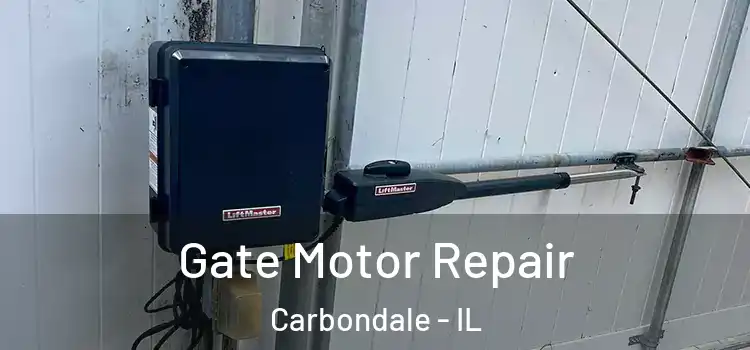 Gate Motor Repair Carbondale - IL