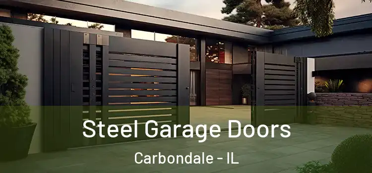 Steel Garage Doors Carbondale - IL