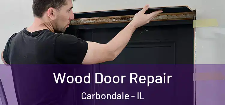 Wood Door Repair Carbondale - IL